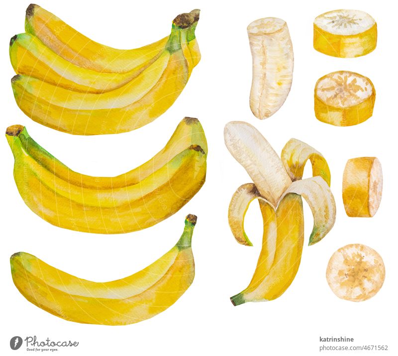 Aquarell gelbe reife Bananen. Ganze und die Hälfte der Banane, geschält und Stücke, tropische Früchte Illustration botanisch geschnitten Dekoration & Verzierung