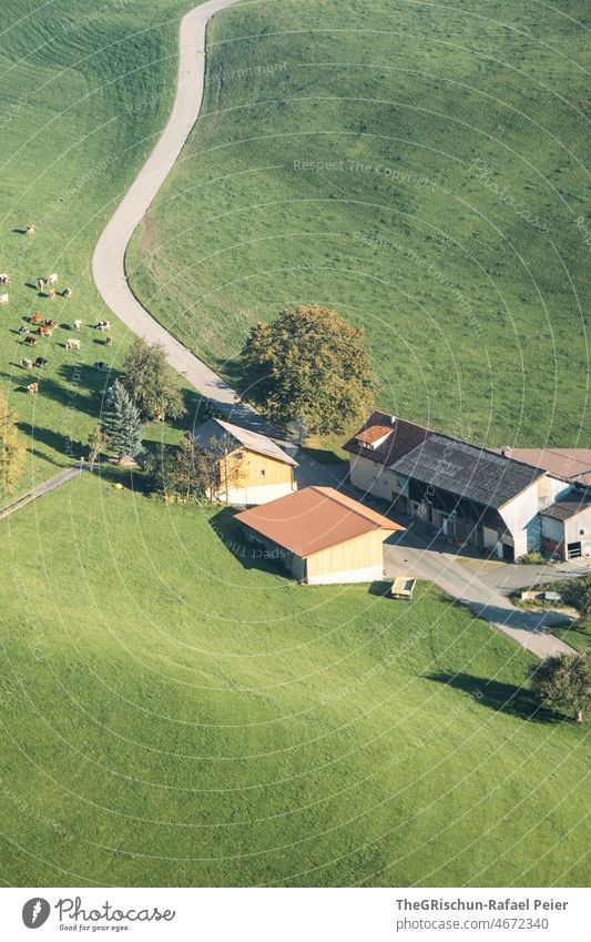 Bauernhof von oben im Sonnenlicht Hof Häuser wohnen farming Weide Kühe Wiese Straße land Landschaft Schweiz