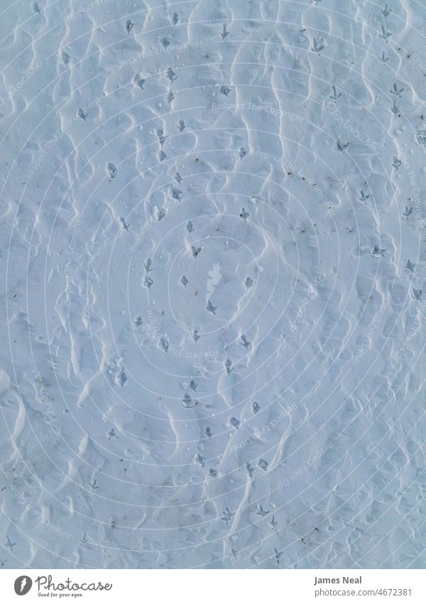 Tiefe Tierspuren im Schnee Bahn Farbe Aufdrucke Tag Hintergrund oben deckend außerhalb malerisch Temperatur im Freien Umwelt erhöhte Ansicht weiß Landschaft