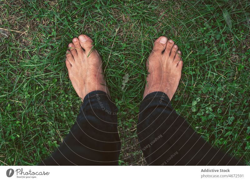 Barfuß stehende Person auf grünem Gras Waldwiese sich[Akk] entspannen Natur Rasen Umwelt Freiheit Erholung Sommer natürlich Wiese Boden Jeansstoff grasbewachsen