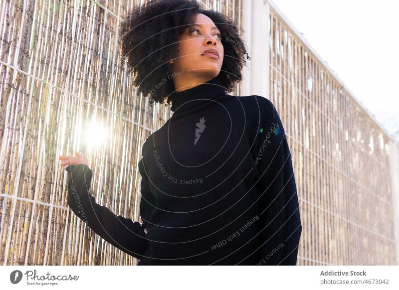 Dreamy schwarze Frau in der Nähe von Bambus Wand Straße Fechten Stil Vorschein feminin Stroh Barriere krause Haare Afroamerikaner Schwarzes Haar Rollkragenpulli