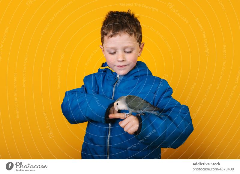 Junge in Oberbekleidung mit Papagei Liebesvogel Besitzer Haustier loyal Arme Finger Kind farbenfroh hell Vogel Kindheit Regenmantel Kapuze bezaubernd lässig