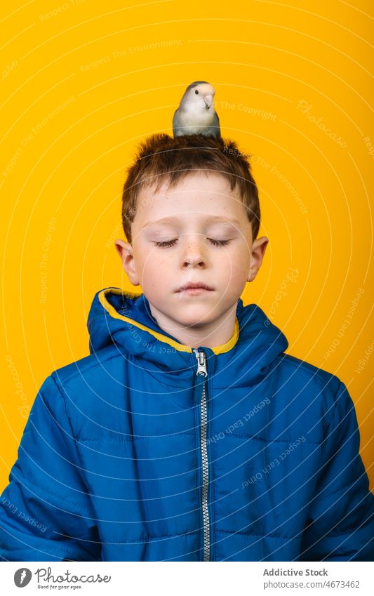 Junge in Oberbekleidung mit Papagei Liebesvogel Besitzer Haustier Kopf loyal Kind farbenfroh hell Vogel geschlossene Augen Kindheit Regenmantel bezaubernd