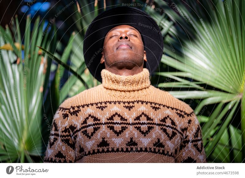 Entspannter schwarzer Mann mit Hut, stehend mit geschlossenen Augen Handfläche sich[Akk] entspannen Augen geschlossen Vorschein Sonne ruhen Park grün genießen