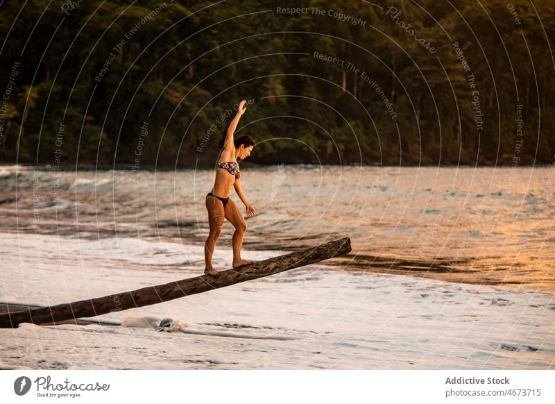 Frau im Bikini steht auf einem Baumstamm am Meeresufer Tourist Sonnenuntergang Urlaub MEER Resort Reisender Erholung Totholz sich[Akk] entspannen Abenddämmerung