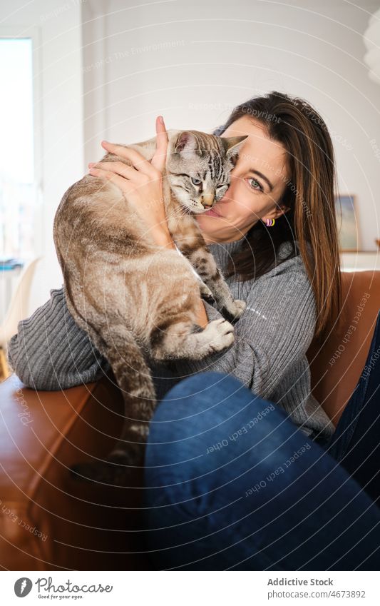 Frau spielt mit Katze auf Couch spielen Streicheln Liege Haustier Tier Besitzer kuscheln Kraulen heimisch katzenhaft Kreatur niedlich bezaubernd loyal heimwärts
