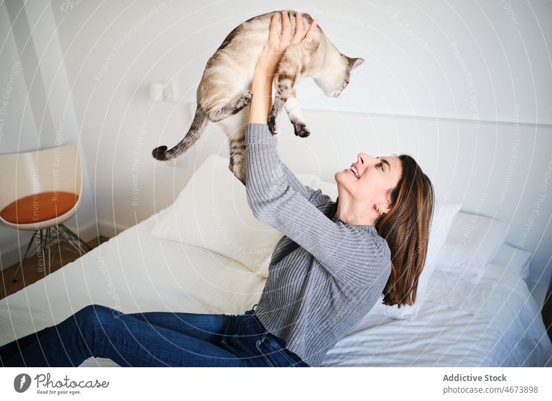 Fröhliche Frau streichelt Katze auf dem Bett Streicheln Kraulen kuscheln Schlafzimmer Haustier Tier heimisch katzenhaft Besitzer Kreatur niedlich bezaubernd
