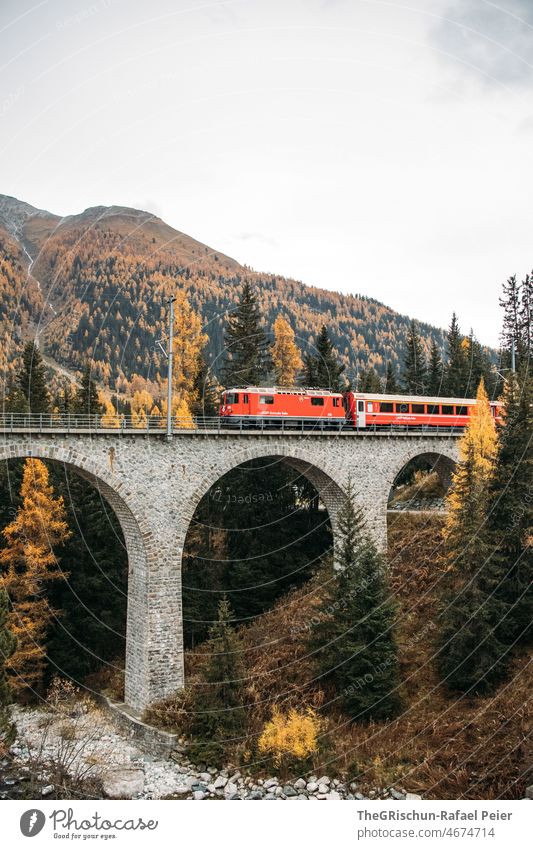 Zug fährt über Eisenbahnbrücke Rhätische Bahn rhätischebahn rot Graubünden Schweiz Brücke Engadin Schweizer Alpen Tourismus Berge u. Gebirge Herbst Lerchen