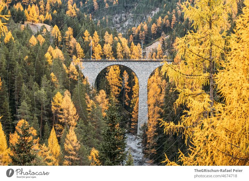 Eisenbahnbrücke im Wald Rhätische Bahn Graubünden Schweiz Brücke Engadin Schweizer Alpen Tourismus Berge u. Gebirge Herbst Lerchen