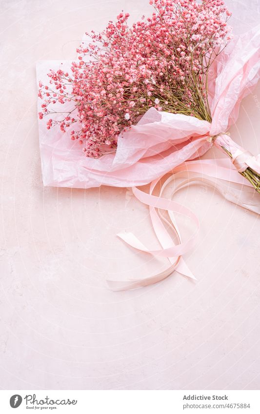 Rosa Gypsophila-Blüten in Papierumschlag Blume Blumenstrauß geblümt Pflanze Verpackung rosa botanisch Flora präsentieren frisch Haufen Raum filigran Angebot