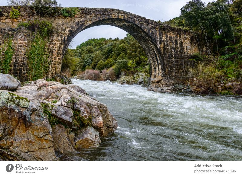 Gewölbebrücke über den schnellen Fluss Brücke gewölbt schäbig alt Wasser Flussufer Natur Baum Extremadura Ufer Hafengebiet Spanien malerisch wild Sommer grün