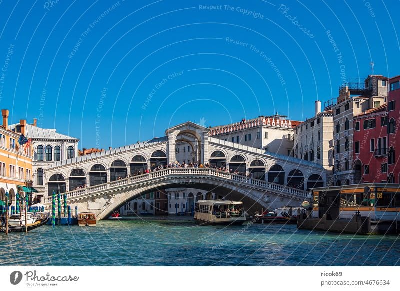 Blick auf die Rialto Brücke in Venedig, Italien Urlaub Reise Ponte di Rialto Stadt Architektur Haus Gebäude historisch Bauwerk Canal Grande Kanal Herbst Wasser