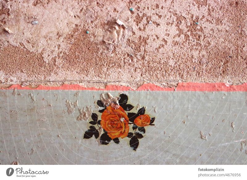 Rosenaufkleber an der Wand romantisch Mauer alt nostalgisch Verfall Vergänglichkeit Dekor vergänglich Vergangenheit Renovieren Verputz Putz malerarbeiten