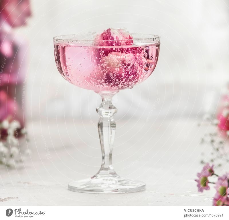 Nahaufnahme eines prickelnden rosa Getränks mit Rosenblättern im Champagnerglas abschließen funkelnd trinken Roséwein Blütenblätter Sektglas weiß Tisch