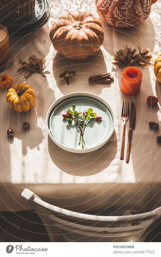 Herbstlich gedeckter Tisch mit blauem Teller, Kürbissen und Dekoration am Küchentisch Tabelleneinstellung Dekoration & Verzierung Stuhl Sonnenlicht altehrwürdig