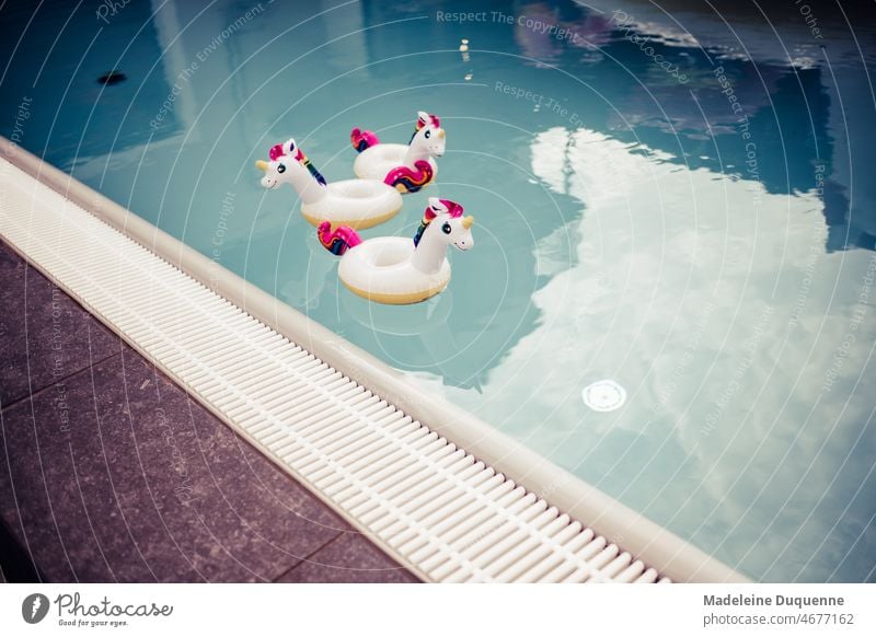 Aufblasbares Einhorn als Spielzeug im Swimmingpool Unicorn sommer schwimmen Wasser Pool Kinder heiss Hitze abkühlung aufblasen spielen baden Fantasie farbig
