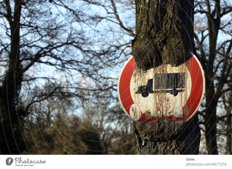 seltsam | Kampf der Systeme baum verkehrsschild verbotsschild lkw verwachsen natur baumharz verletzung Schilder & Markierungen Verkehrszeichen Warnschild