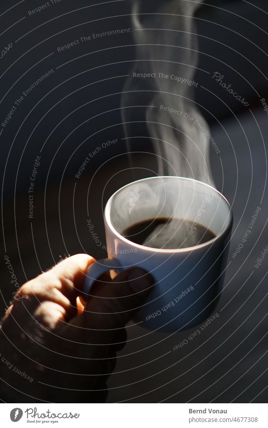 Morgenkaffee Sonnenlicht Gegenlicht Kaffee Angebot Gastfreundschaft dampf Partikel Heißgetränk heiß Tasse Licht Schein Kontrast zuhause essen und trinken frisch