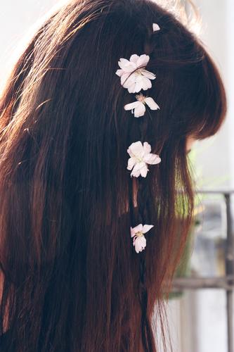 Blüten in langem Haar eines Mädchens Haare Haare & Frisuren feminin schön Junge Frau weiblich romantisch Romantik Hippie Blumenmädchen Haarschmuck Kopf