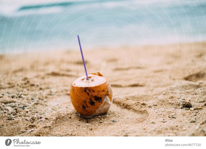 Trinkkokosnuss am Strand Kokosnuss trinken getränk King Kokosnuss Meer Urlaub Urlaubsstimmung Tropen Asien Sommer tropisch strandurlaub strohhalm