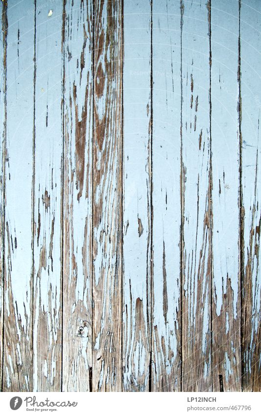 The Doors XX / . XXXXXV Mauer Wand Holz alt hässlich blau ästhetisch Holztor Zaun Anstrich abblättern Farbstoff streichen Holzbrett Farbfoto Außenaufnahme