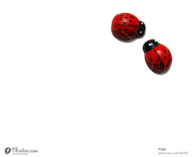 A Bugs Life Marienkäfer Holzfigur rot schwarz weiß Punkt niggl paarweise Tierpaar