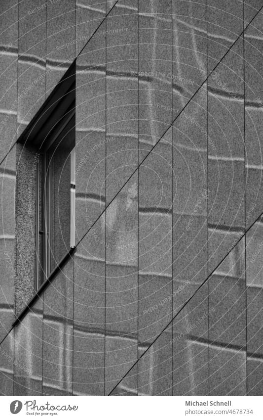Spiegelung an der Hausfassade Fassade Fassadenverkleidung Fassadengestaltung grau formen Strukturen & Formen Architektur Gebäude Wand