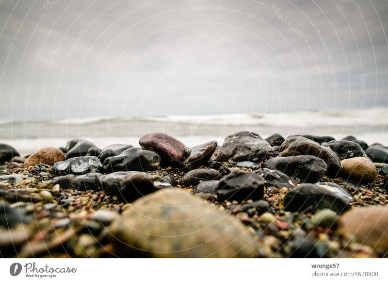 Große und kleine, glänzende feuchte Steine an einem Strandabschnitt der Steilküste Rügens Steine am Strand Küste Ostsee groß und klein Findlinge Natur