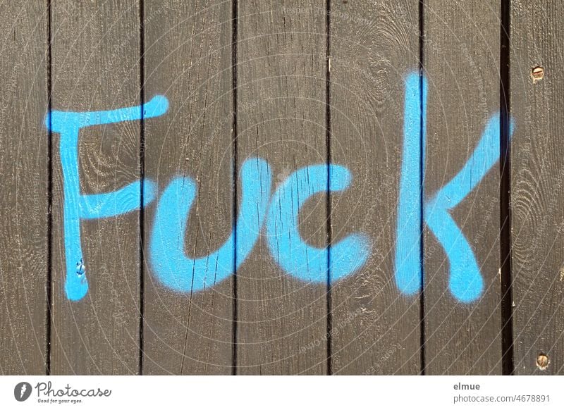 Fuck steht in hellblau an dem braunen, geschlossenen Holzzaun / Frustration / Provokation / Gefühl fuck Aggression Feindseligkeit Wut Ärger gereizt