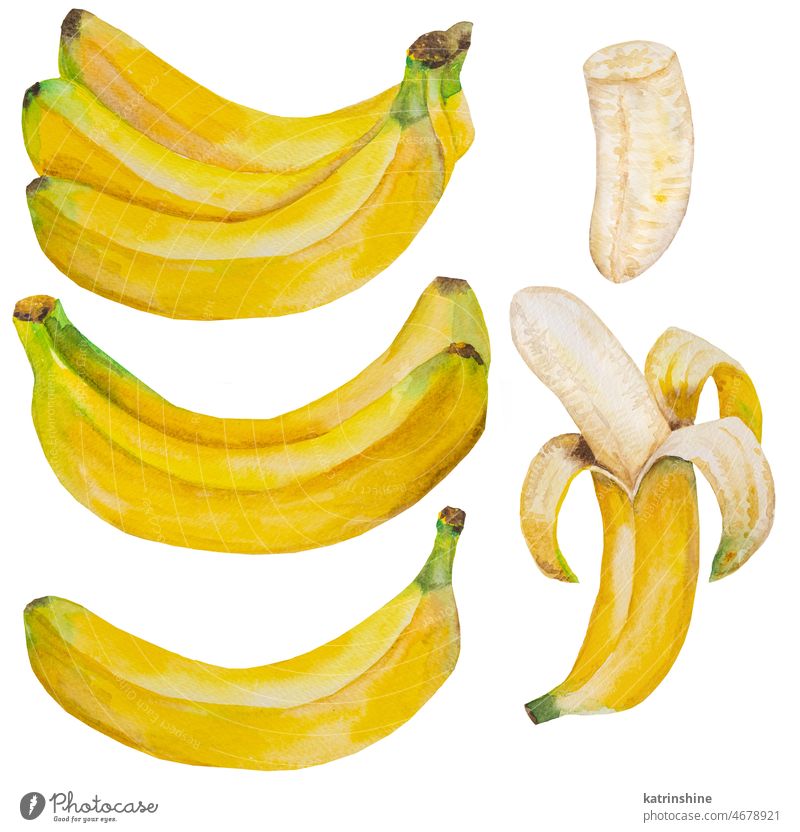 Aquarell gelbe reife Bananen. Ganze und halbe Banane tropische Früchte Illustration botanisch geschnitten Dekoration & Verzierung Element exotisch