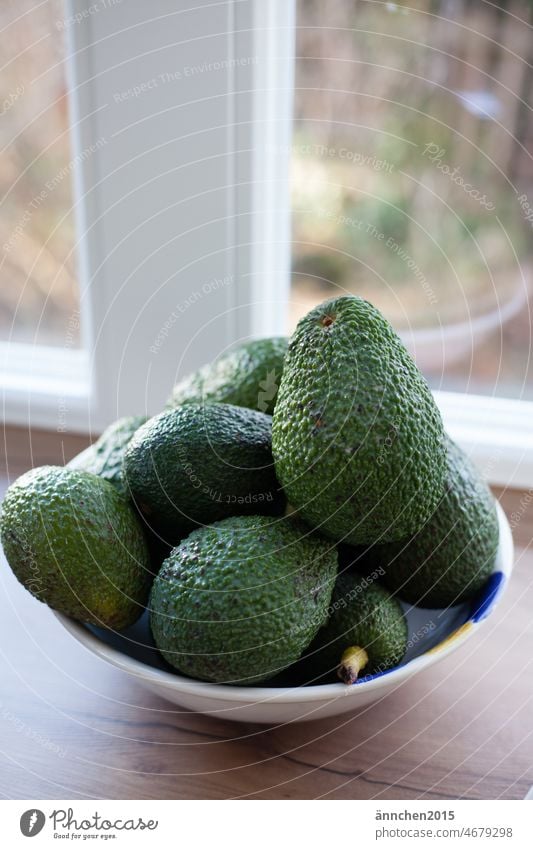 Eine Schale mit grünen Avocados steht in der Küche an einem weißen Fenster Essen gesund Lebensmittel lecker Gemüse frisch Ernährung Gesundheit