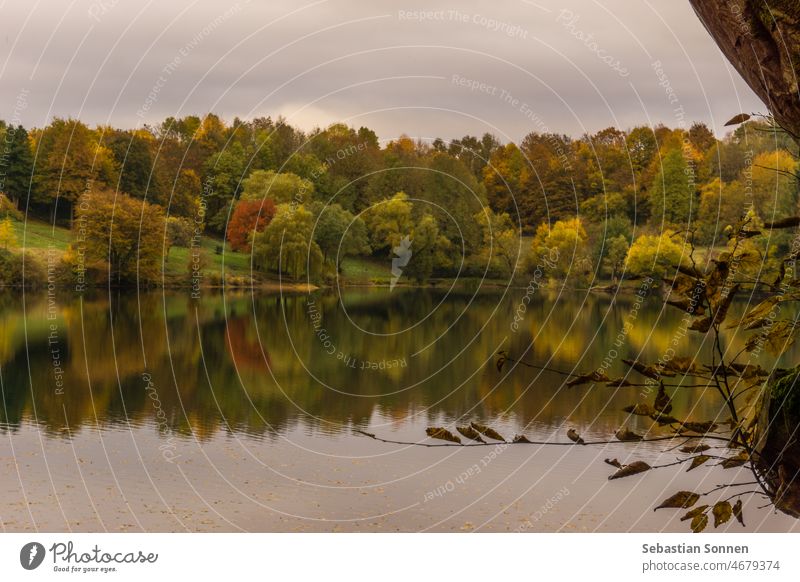Calderasee Ulmener Maar mit Blick auf bunten Wald im Herbst, Deutschland im Freien Landschaft See Natur Wasser malerisch reisen Waldsee Reflexion & Spiegelung