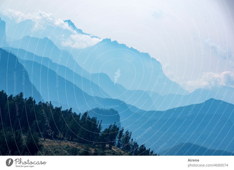 Berg-Geschichten Gipfel Berge u. Gebirge blau Panorama (Aussicht) Silhouette Alpen Himmel Ferne Landschaft Fernweh Schönes Wetter Wolken Natur Zacken gewaltig