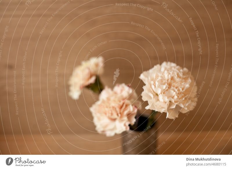 Drei Pfirsich Farbe Nelken Bouquet in einer kleinen Vase auf Holztisch isoliert. Floral horizontale Kulisse. Romantische Überraschung für einen Geburtstag oder eine Hochzeit.