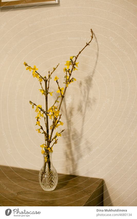 Licht und luftige Foto von drei gelben Frühlingsblumen Bouquet in einer kleinen Vase auf Couchtisch isoliert auf beige neutrale Farbe Hintergrund. Floral vertikalen Wohnkultur Innenraum Kulisse. Romantische Überraschung.