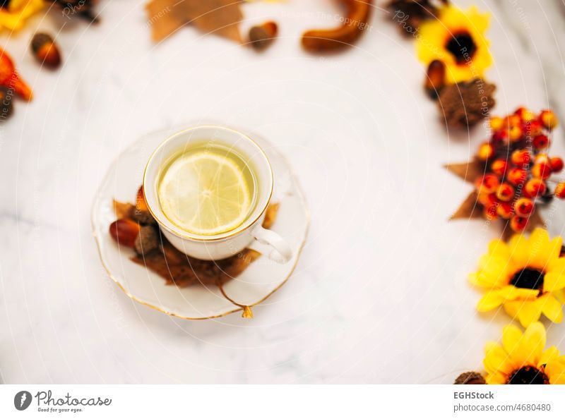 Draufsicht auf eine Keramiktasse mit Zitronentee, umgeben von Tannenzapfen und herbstlichen Ahornblättern. Fokus auf Zitrone. trinken heiß Zimt Aroma Herbst
