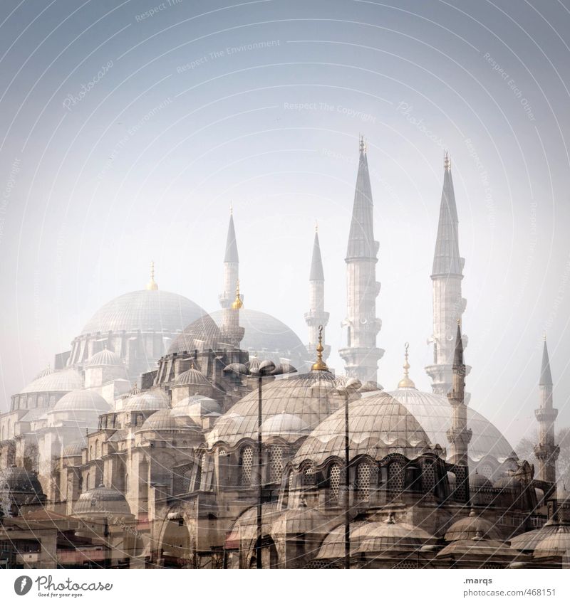 Istanbul Ferien & Urlaub & Reisen Tourismus Kultur Wolkenloser Himmel Schönes Wetter Türkei Bauwerk Gebäude Architektur Moschee Zeichen groß einzigartig schön