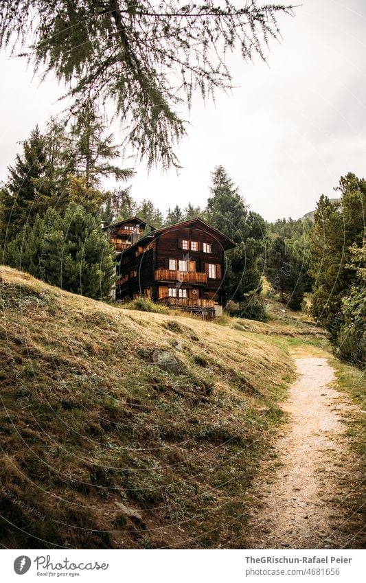 Chalte im Wald Chalet Schweiz grün Wiese Alpen wallis Holzhütte Holzhaus Wege & Pfade