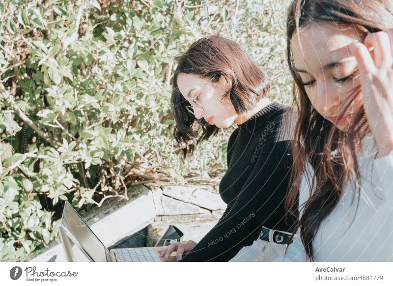 Zwei junge Studentinnen arbeiten im Freien an Laptops. Konzentration und harte Arbeit, um gute Noten für Prüfungen zu erhalten. Lernen in letzter Minute. Jung und neu an der Universität Konzept.