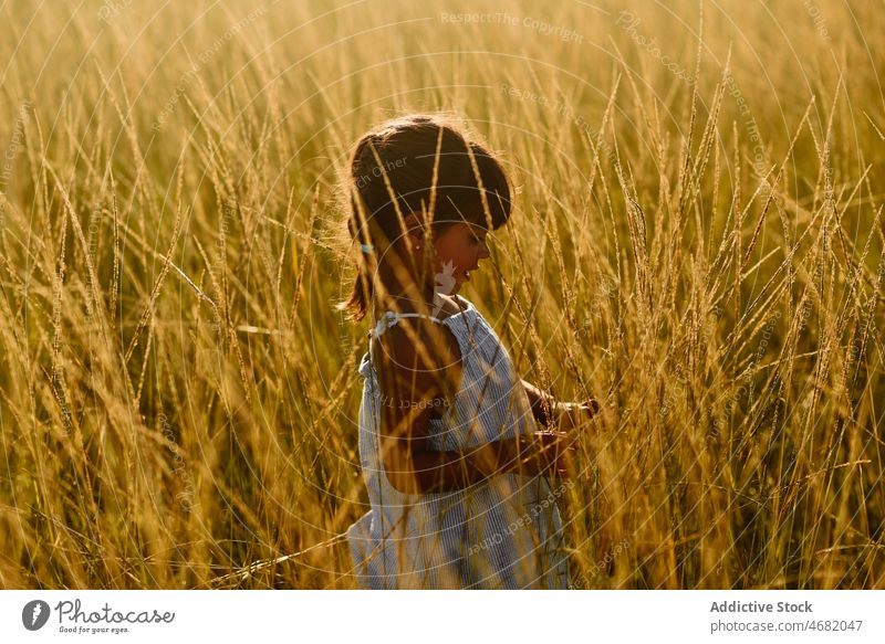Fröhliches Kind genießt den Sommer auf einer Wiese Mädchen Feld Landschaft spielerisch Gras Silhouette niedlich genießen hispanisch bezaubernd Natur Kindheit
