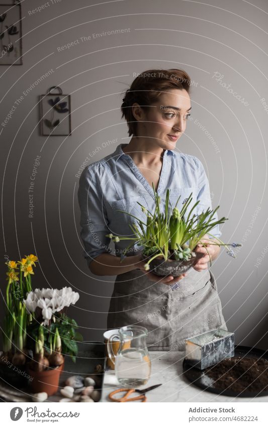 Lächelnder Gärtner mit Frühlingsblumen am Tisch Frau Pflanze eingetopft Blume Saison heimwärts Inhalt heiter verschiedene kultivieren sortiert Schürze frisch