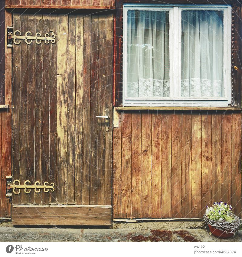Schicke Scharniere Gartenhaus Hütte Fenster Baracke idyllisch friedlich Häusliches Leben Totale Holzfassade Holzwand geschlossen einfach zu Menschenleer Gebäude