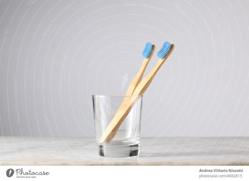 lgbt concept: zwei hellblaue Bambuszahnbürsten in einem Glas mit Platz für Ihren Text Zahnbürste Hygiene dental Gesundheit Gerät medizinisch Zahnarzt Stillleben