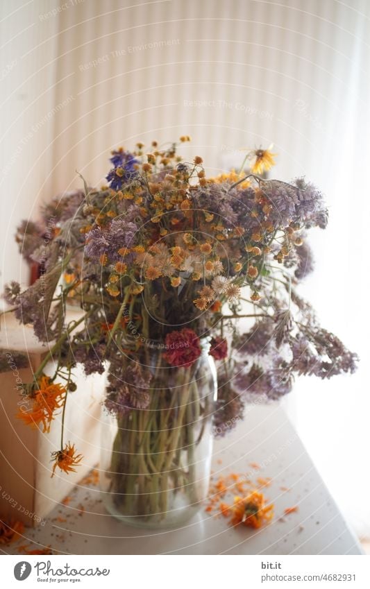 Trockenblumen in Glasvase auf Tisch, zu Hause im Sommer. Blumenstrauß Vase Dekoration & Verzierung Blüte Frühling Natur Blühend Pflanze schön Nahaufnahme
