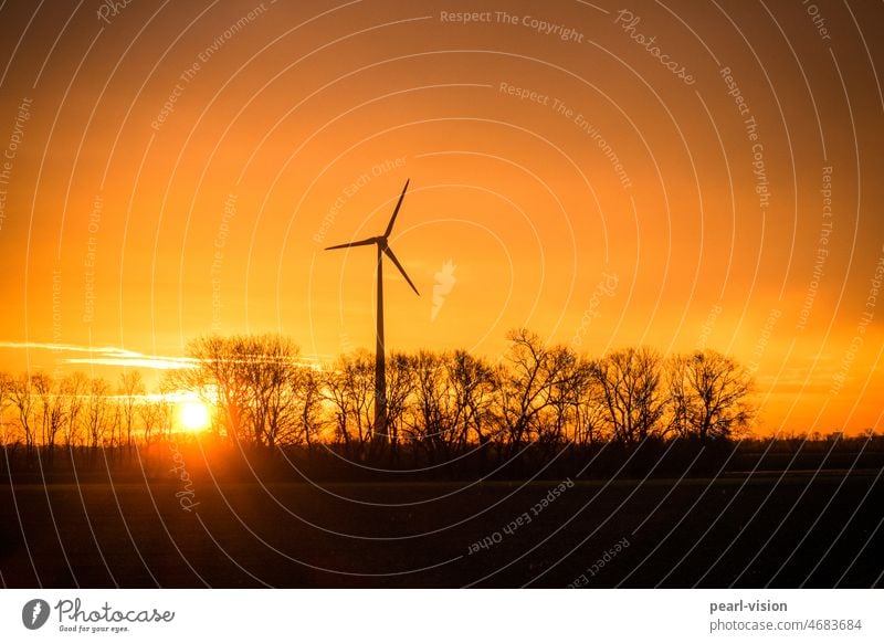 Windrad bei aufgehender Sonne Windkraftanlage Morgen Erneuerbare Energie Energiewirtschaft umweltfreundlich Umweltschutz Windenergie wolkenlos