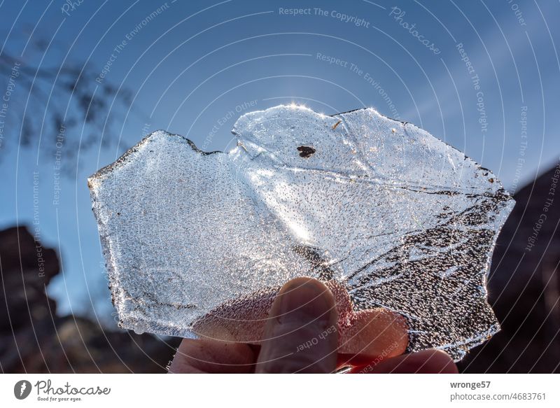 Kleine Eisscholle gegen die Sonne gehalten Gegenlicht Winter kalt gefroren Frost Außenaufnahme Farbfoto Menschenleer Durchlichtaufnahme Luftbläschen Einschlüsse