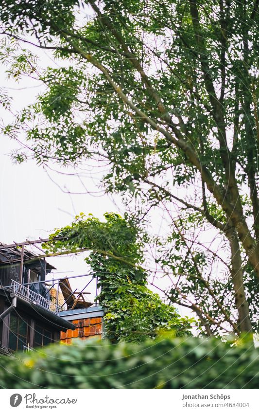 Terasse mit Stuhl im Grünen Terrasse Liegestuhl Balkon Baum Äste Durchblick Herbst Natur Zweige u. Äste Waldhaus Waldrand Menschenleer Außenaufnahme Farbfoto