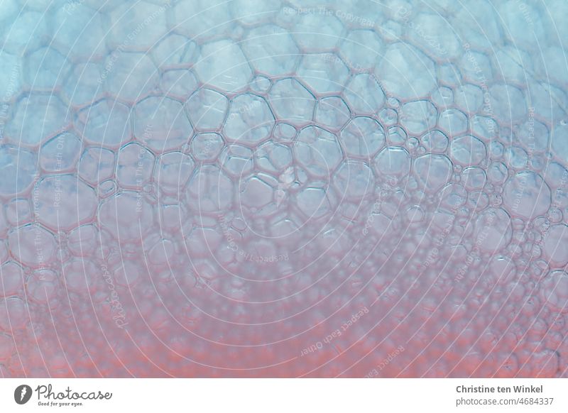Zarter Seifenschaum bildet ein abstraktes Muster Schaumblasen Seifenblasen Hintergrundbild Makroaufnahme Textur Nahaufnahme nass Strukturen & Formen waschen