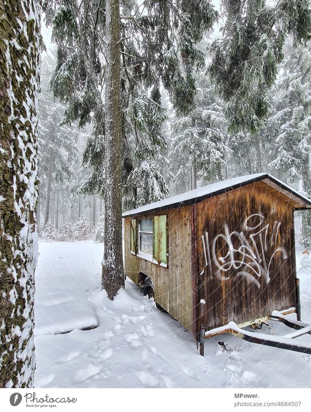 hütte im winterwald Hütte Wald Winter Winterstimmung Schnee Holzhütte Außenaufnahme Natur weiß Frost Landschaft Wetter Schneelandschaft Farbfoto Winterwald Baum