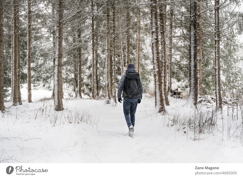 Mann geht in einem verschneiten Wald spazieren Schnee Winter wandern Spaziergang Natur im Freien kalt Wintertag Winterwald Winterstimmung Landschaft